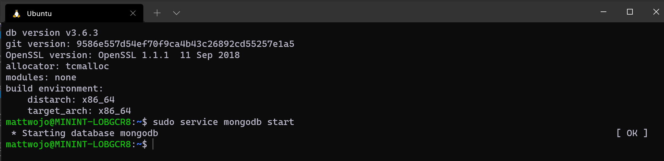在 WSL 的 Ubuntu 上运行 MongoDB